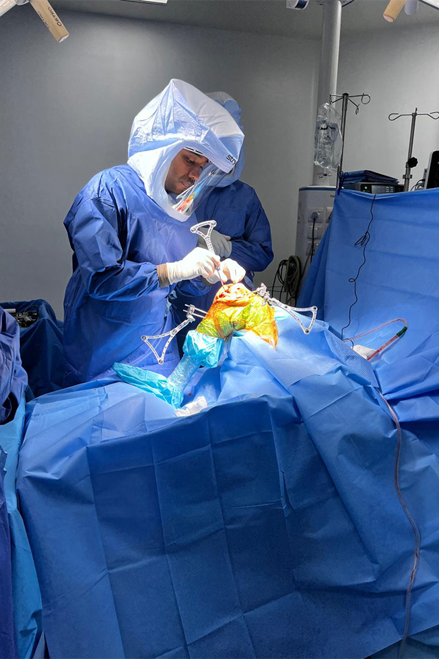 Dr. Santhosh C Reddy